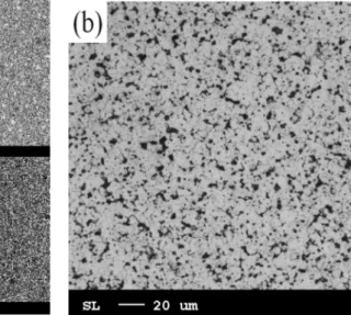 Fig. 3. Microstructures of as-sintered sample (a) phase distributions of Nd, Dy, Fe and B by EPMA and (b) OM image of eched one.