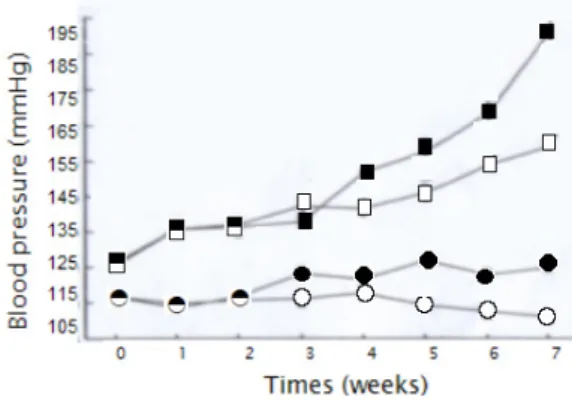 Fig.  3.  Changes  in  the  systolic  blood  pressure  of  SHR  and  WKY  rats  fed  sesame  oil  or  borage  oil  diet