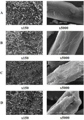 Fig.  2.  SEM  photographs  of  MCC  powders; 