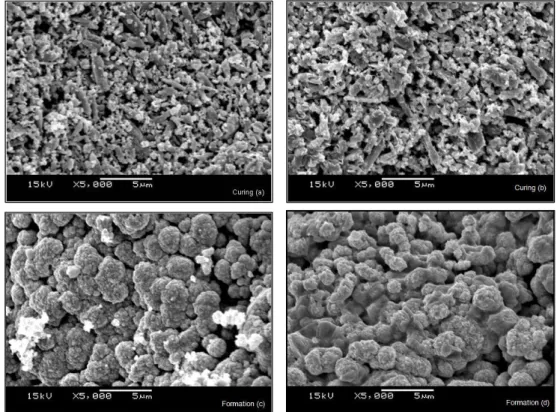 Fig.  1.  SEM  micrographs  of  positive  active  material  after  curing  and  formation;  curing  (a)C1,  (b)C2S3,  formation  (c)C1,  (d)C2S3.뚜렷하게  나타나지  않았다