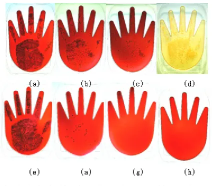 Fig.  4.  Anti-microbiological  effects  of  hand  sanitizer  against  E. 