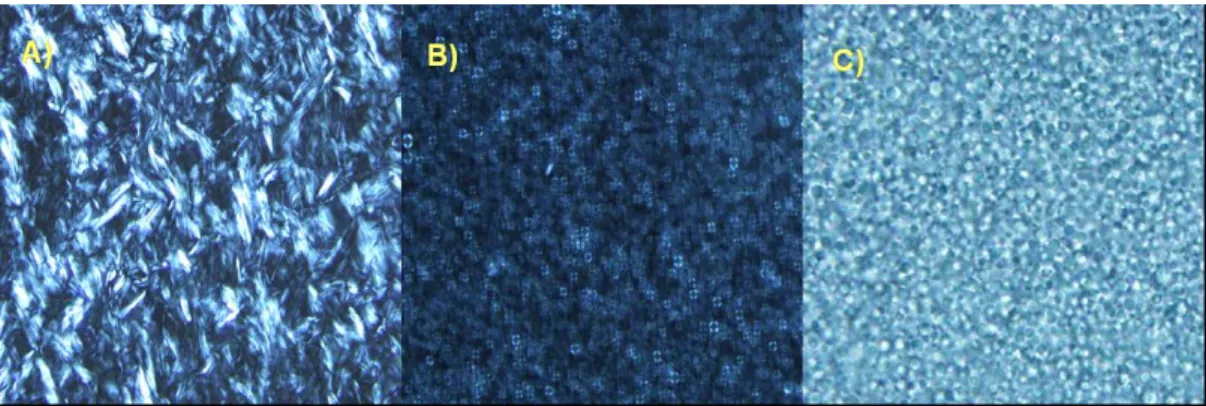 Fig.  5.  Polarized  microscope  photographes  for  a  idebenone-loaded  model  LC(A),  a  test  sample(B)  and  a  control  sample(C).