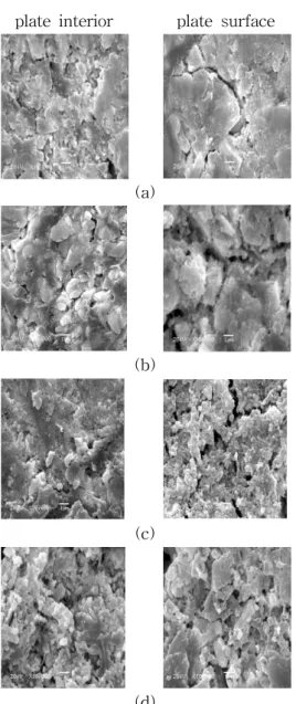 Fig.  5.  SEM  images  of  a  plate  soaked  in  H 2 SO 4   of  specific  gravity  1.10  ;                 (a)  10  min.,  (b)  3  hrs,  (c)  8hrs,  and                  (d)  16  hrs.