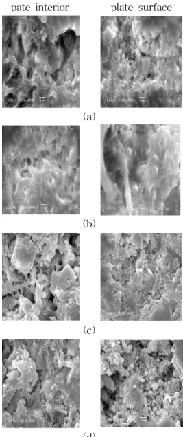 Fig.  6.  SEM  images  of  a  plate  soaked  in  H 2 SO 4   of  specific  gravity  1.20  ;                 (a)  10  min.,  (b)  3  hrs,  (c)  8hrs,  and                  (d)  16  hrs.