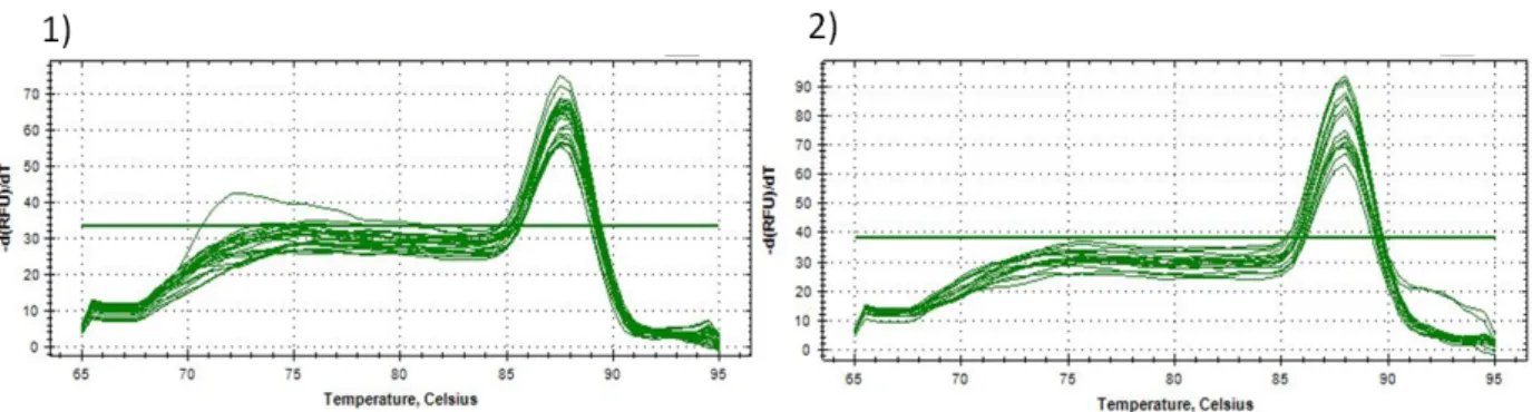 Figure  4.   Melting  curve  analysis  of  bla KPC   and  bla NDM .  1)  melting  curve  analysis  of  bla KPC   amplicon  was  generated  that  showed  the  fragment 