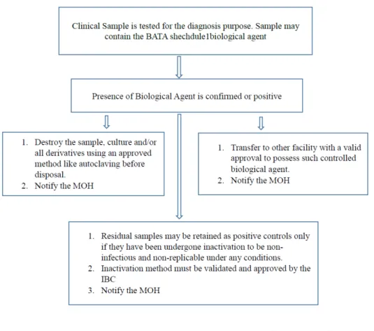 Figure  1.   The  procedures  in  brief  for  positive  diagnostic  clinical  samples