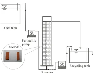 Fig.  1.  Schematic  diagram  of  experimental  unit.