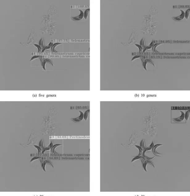 Fig.  7.  Detection  of  Selenastrum capricornutum  for  five,  10,  20  and  30  genera  models.
