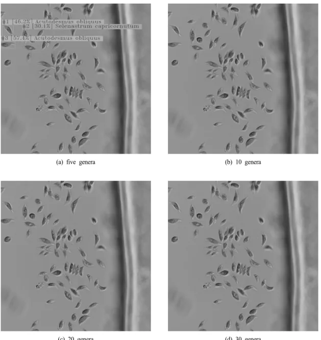 Fig.  9.  Detection  of  Acutodesmus obliquus  for  five,  10,  20  and  30  genera  models.