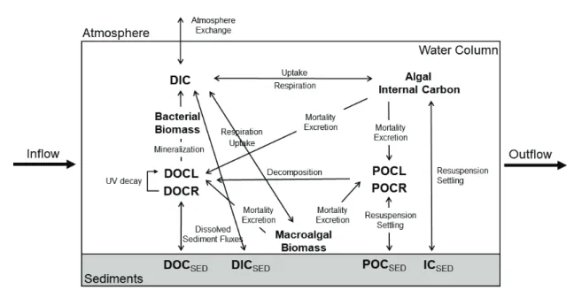 Fig.  2.  Simplified  schematic  of  the  carbon  dynamics. 