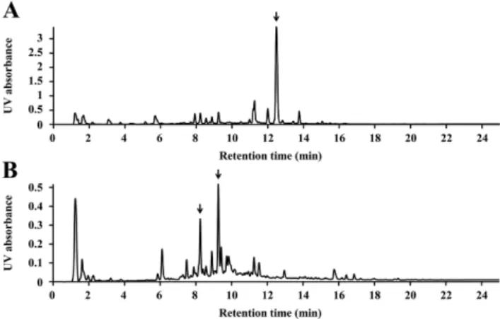 Fig. 1 − UPLC chromatogram of ethanol extracts of (A) leaves and (B) roots of  R. crispus.