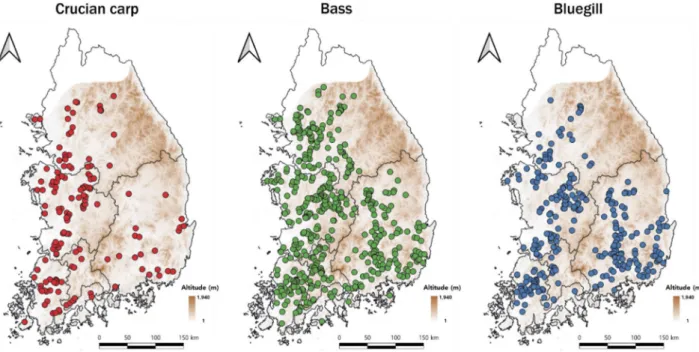 Fig. 1.  Distribution of three introduced fish species in the South Korea streams surveyed from 2009~2016