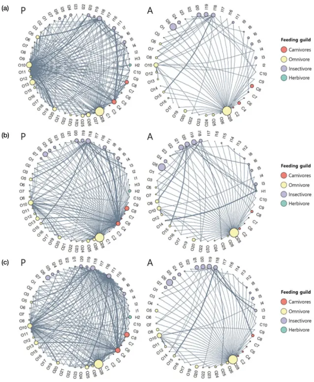 Fig. 6.  Fish network in presence (P) and absence (A) sites for introduced fish species