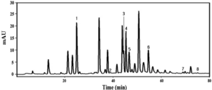 Fig. 4 − The polyphenol profile in the CH-Ex. HPLC analysis was utilized to determine polyphenolic compounds in the  CH-Ex