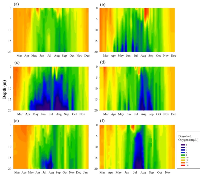 Fig. 4. Seasonal variation of dissolved oxygen in Lake Paldang.