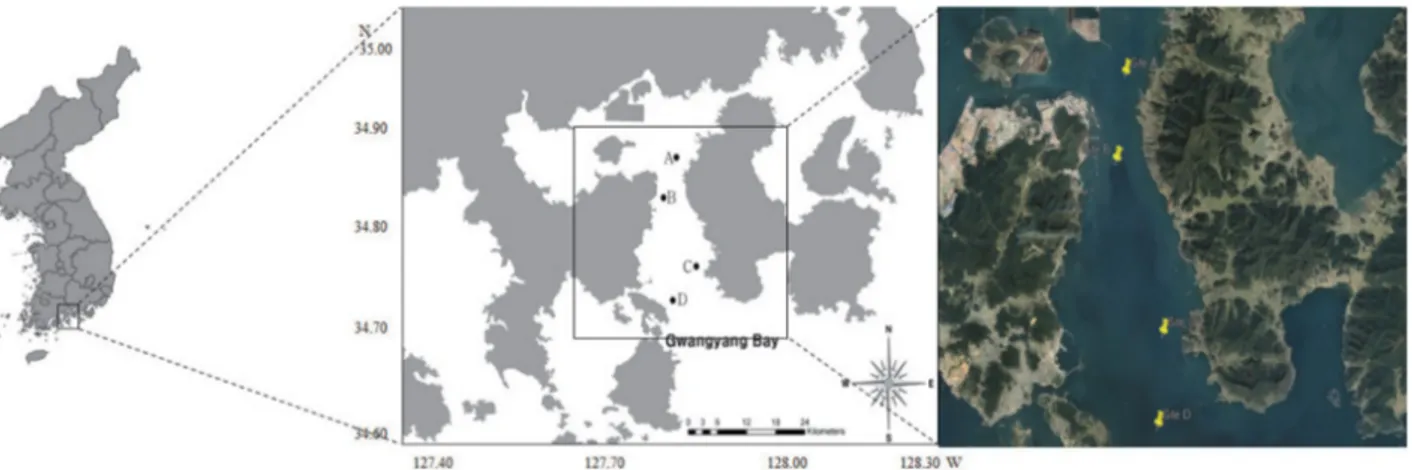 Fig. 1.  Map of fish sampling sites in Gwangyang Bay of Korea.