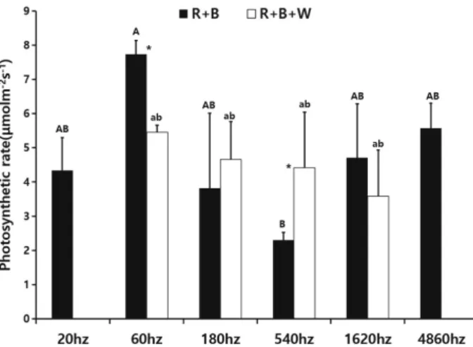 Fig. 2.  Photosynthetic rate of ginseng on different hertz of red 