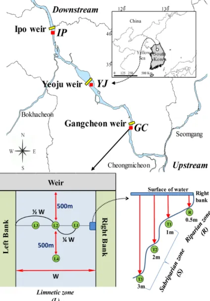 Fig. 1. Location of the sampling sites and points in the Namhan River.
