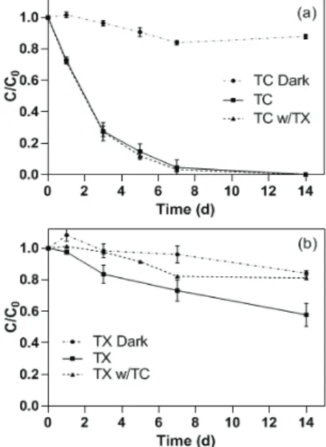 Fig. 1. Removal of (a) tetracycline (TC) by UVA in a  TC-only solution (TC) and in a TC-Trtion X-100 mixture  (TC w/TX) and (b) TX in a TX-only solution (TX) and in  a TC-TX mixture (TX w/TC)