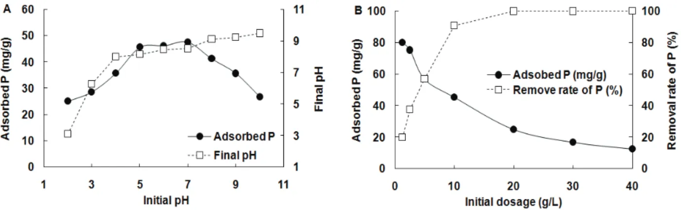 Fig. 2. Effect of initial pH (A) and C-OS600 dosage (B) on phosphate adsorption (C-OS600: Calcined oyster shell).