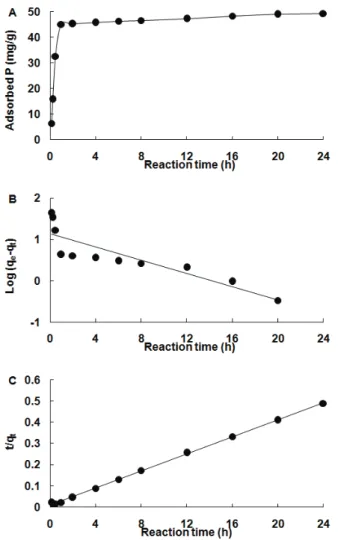 Fig. 3. Effects of contact time on phosphate adsorption by C-OS600 [(A) Adsorbed phosphate, (B) Pseudo-first-order  model, and (C) Pseudo-second-order model, C-OS600: Calcined oyster shell, C-OS600 dose: 10 g/L, initial P concentration:  500 mg/L, Initial 