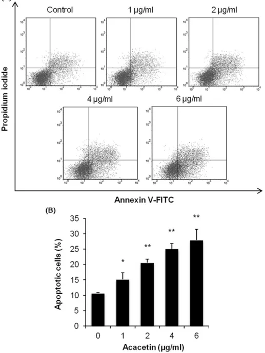 Fig. 3 − Effect of acacetin on HeLa cell apoptosis. Cells were treated with indicated concentrations of acacetin for 24 h