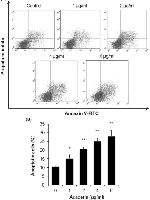 Fig. 3 − Effect of acacetin on HeLa cell apoptosis. Cells were treated with indicated concentrations of acacetin for 24 h
