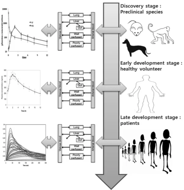 Fig. 1 − PBPK modeling strategy in drug discovery and development. Initially, the PBPK simulation is performed in animals using animal PBPK models