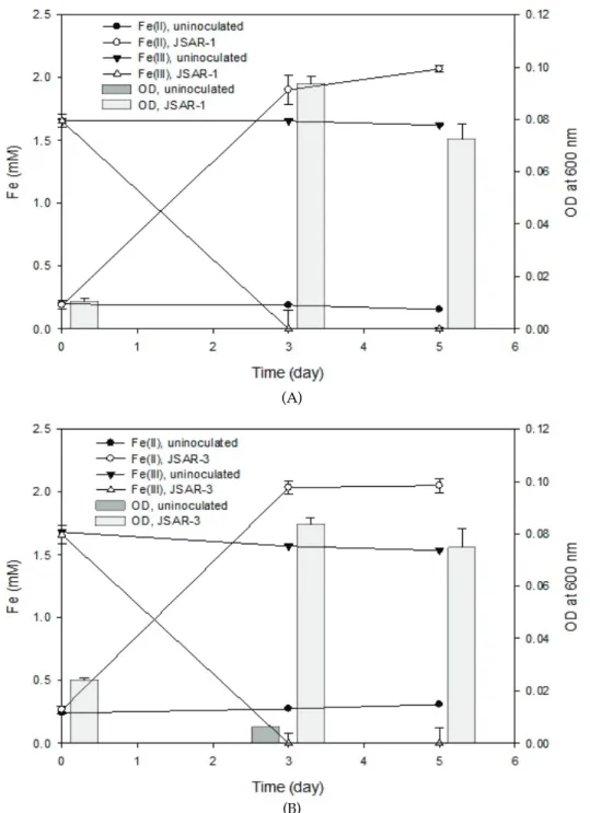 Fig. 2. Microbial Fe(III) reduction experiments in the presence of 10 mM As(V) with (A) JSAR-1 and (B) JSAR-3