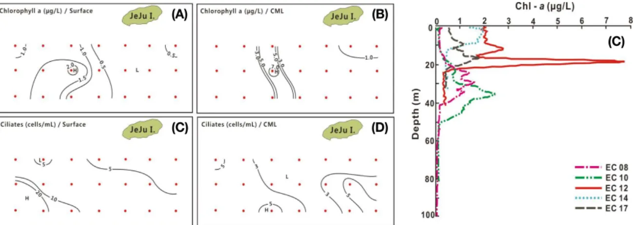 Fig. 9.  Horizontal distributions of chlorophyll-a concentration (A, B) and ciliate cell dencity (D, E) at the surface (A, D) and CML (B, E), and 