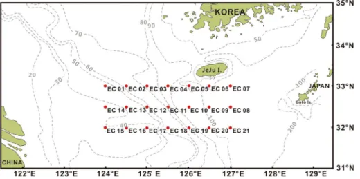 Fig. 1.  Map showing the sampling station in the nECS in the summer of 2019.
