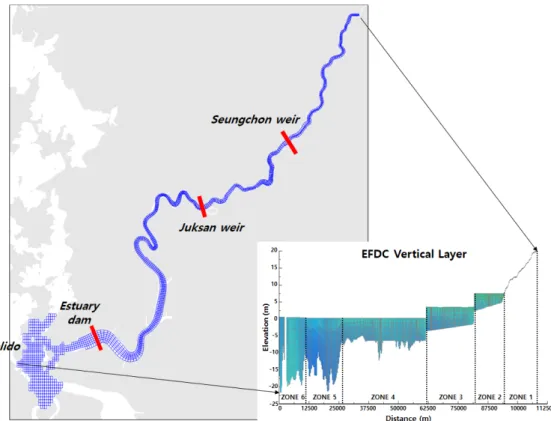 Fig. 3. Physical domain grid of Yeongsan River, Grid spacing ranges between approximately 62 and 510 m.