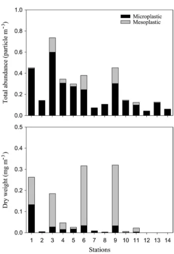 Fig. 5.  Total abundance and dry weight of micro- and meso-plas-