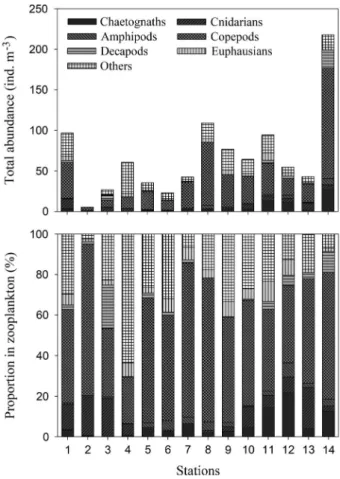 Fig. 7.  Variations in total abundance and the proportion of zoo-