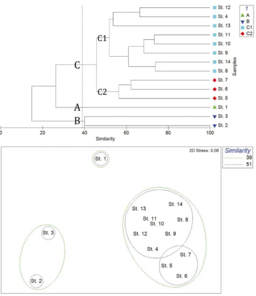 Fig. 8.  Dendrogram and representative groups with more than 39% similarity by cluster analysis based on the abundance of copepod in 