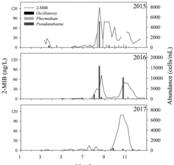 Fig.  2.  2-MIB  concentration  in  contrast  with  abundance  of  three  genus  (Oscillatoria,  Phormidium,  Pseudanabaena)  cyanobacteria  at  U8  site  between  2015  and  2017  (different  scale).