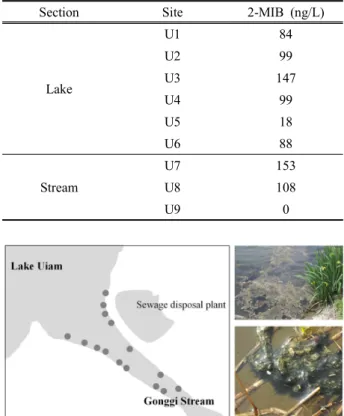 Table  2.  Comparison  of  2-MIB  concentration  at  lake  (6  sites)  and  stream  (3  sites)  in  October,  2017