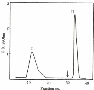 Fig.  2.  Affinity chromatography on  Protein A-Sepharose  CL-4B  of  specific  McAb  to  fl-hCG  from  crude  specific McAb top- hCGprepared by ammonium  sulfate precipitation