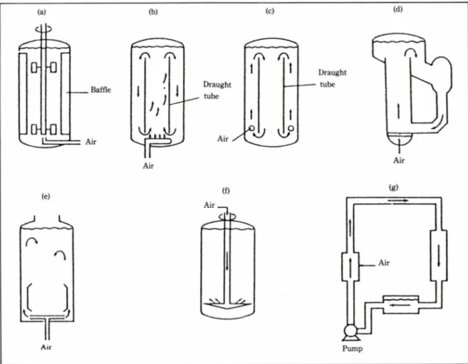 Fig.  1.  Selection of aerobic fermenter configurations proposed  for  single-cell  protein  production  (a)  stir red,  baffled  ,Porton/ pot,  (b) air-lift fermenter,  (c)  Wasco air-lift,  (d) Kanegafuchiair-lift,  (e) Lafrancois air-lift,  If)  Vogel b