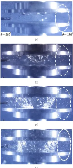 Fig. 8 Front view of snap shots of bubble dynamics at