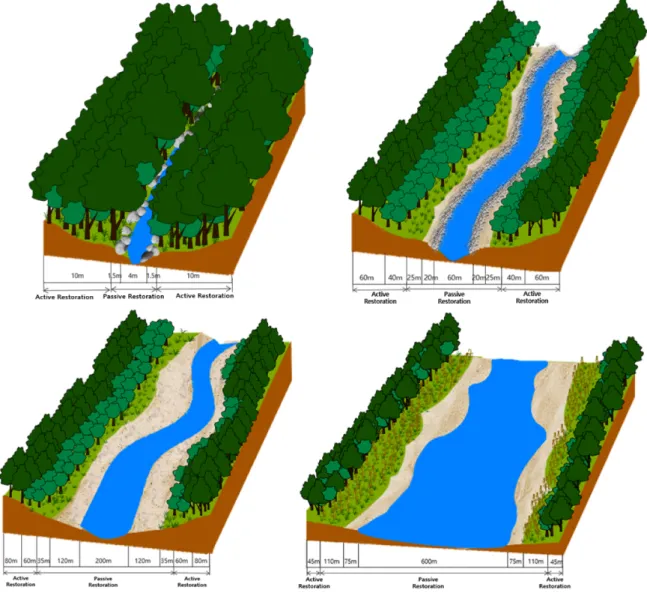 Fig.  5.  Spatial  arrangement  of  riparian  vegetation  in  the  river  restoration  to  be  practiced  by  applying  the  ecological  method