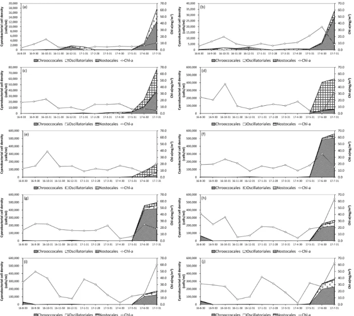 Fig.  2.  Temporal  variations  of  chl-a  and  cell  density  of  cyanobacterial  orders  at  each  sampling  sites  in  the  weir  regions  of  Nakdong  River;  (a)  st.1,  (b)  st.2,  (c)  st.3,  (d)  st.4,  (e)  st.5,  (f)  st.6,  (g)  st.7,  (h)  st.8