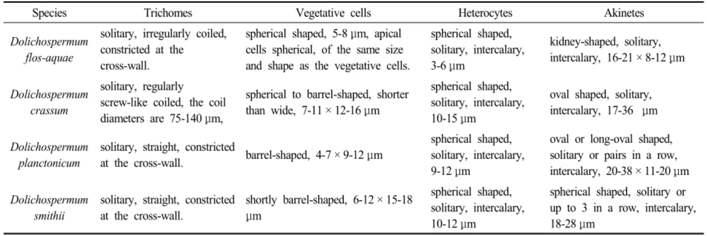 Table  3.  Diacritical  morphological  characteristics  of  four  Dolichospermum  taxa  in  natural  samples  collected  from  the  weir  regions  of  Nakdong  River