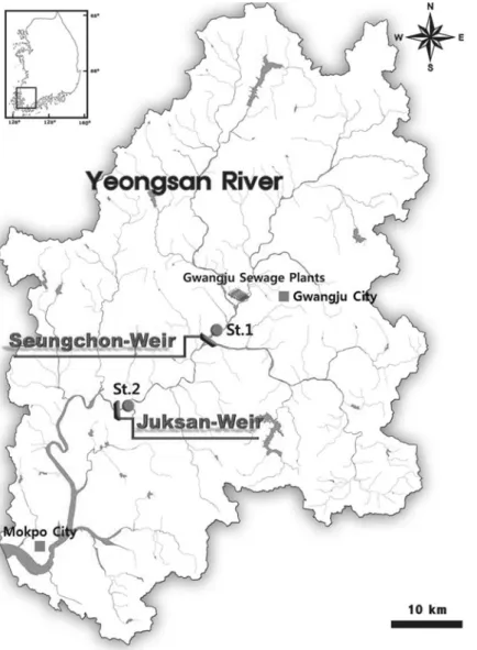 Fig.  1.  Location  of  the  sampling  sites  in  two  weirs  of  the  Yeongsan  River.