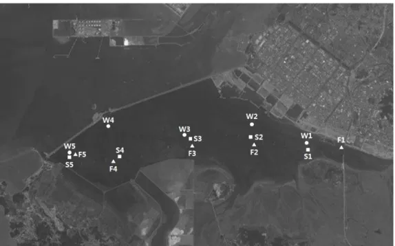 Fig.  1.  Sampling  points  at  Shihwa  Lake.