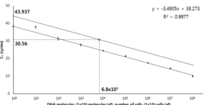 Fig.  9.  Calibrations  using  directly  counted  cells  and  mea-    sured  CT  values  by  mcyB-specific  Ultra-Rapid  PCR