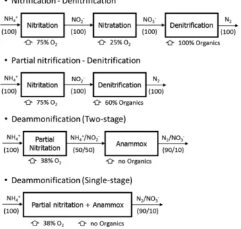 Fig.  1.  Biological  nitrogen  removal  process  diagrams.