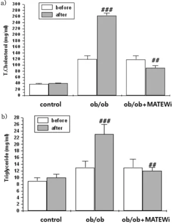 Fig. 2 − Effect of MATEWi extract on liver (upper panel, middle panel), epididymal dipose tissue morphology (bottom panel)