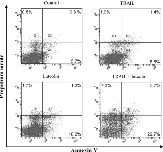 Fig. 3 − Effect of co-treatment of luteolin and TRAIL on SK-Hep1 cell viability. SK-Hep1 cells were treated with or without TRAIL (10 ng/ml) and indicated concentrations of luteolin for 24 h