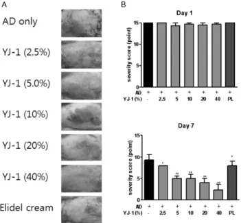 Fig. 2 − Effect of YJ-1 on clinical skin feature (A) and severity score (B) of atopic dermatitis in NC/Ng mice (n=4~6)